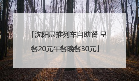 沈阳局推列车自助餐 早餐20元午餐晚餐30元