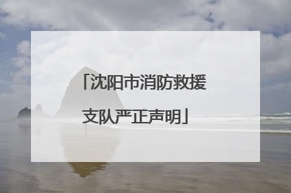 沈阳市消防救援支队严正声明