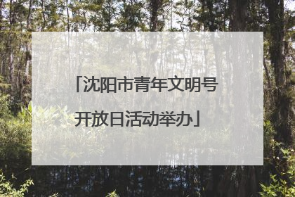 沈阳市青年文明号开放日活动举办