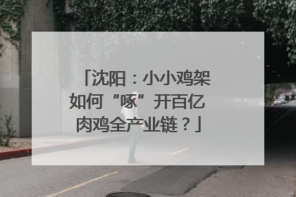 沈阳：小小鸡架如何“啄”开百亿肉鸡全产业链？