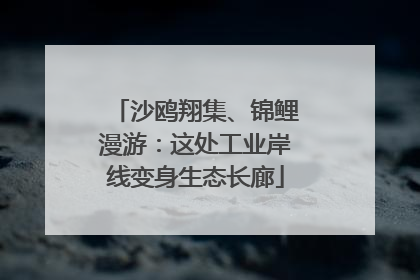 沙鸥翔集、锦鲤漫游：这处工业岸线变身生态长廊