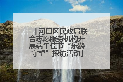 河口区民政局联合志愿服务机构开展端午佳节“乐龄守望”探访活动