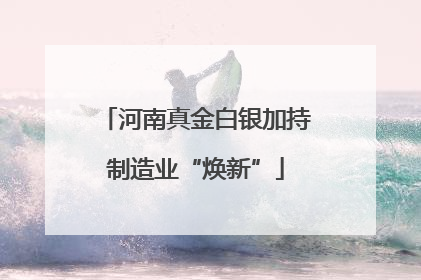 河南真金白银加持制造业“焕新”