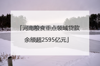 河南粮食重点领域贷款余额超2595亿元