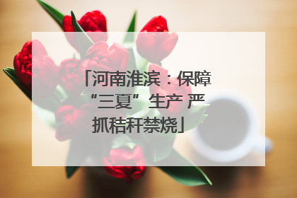 河南淮滨：保障“三夏”生产 严抓秸秆禁烧