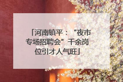 河南镇平：“夜市专场招聘会”千余岗位引才人气旺