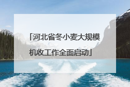 河北省冬小麦大规模机收工作全面启动
