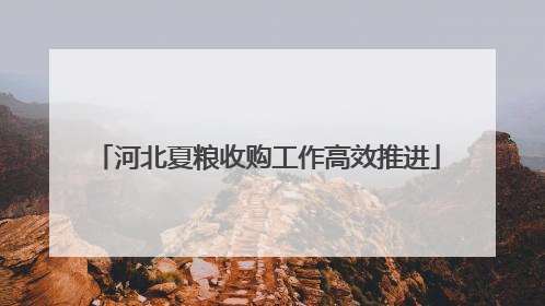 河北夏粮收购工作高效推进