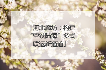 河北廊坊：构建“空铁陆海”多式联运新通道