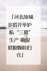 河北故城多措并举护航“三夏”生产 确保夏粮颗粒归仓