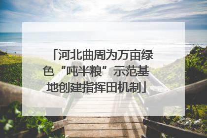 河北曲周为万亩绿色“吨半粮”示范基地创建指挥田机制
