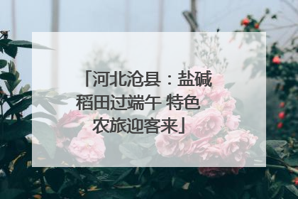 河北沧县：盐碱稻田过端午 特色农旅迎客来