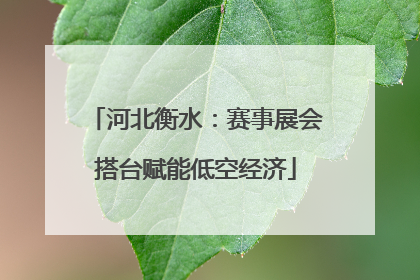 河北衡水：赛事展会搭台赋能低空经济