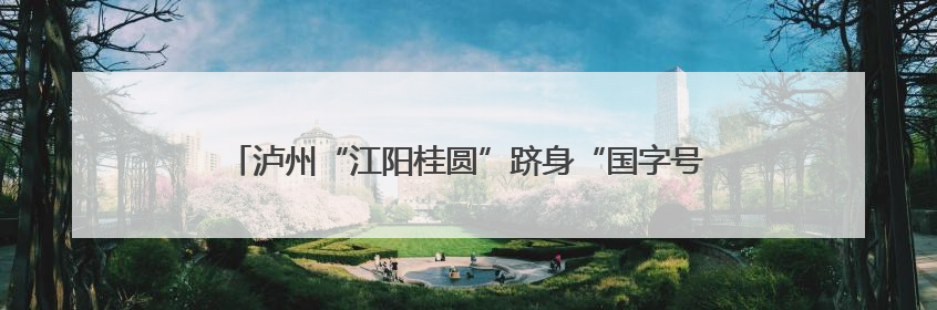 泸州“江阳桂圆”跻身“国字号” “甜蜜名片”获全国认证
