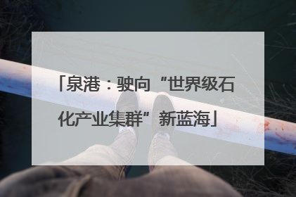 泉港：驶向“世界级石化产业集群”新蓝海