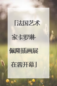 法国艺术家卡罗琳·佩隆插画展在蓉开幕