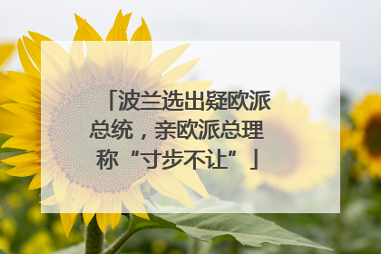 波兰选出疑欧派总统，亲欧派总理称“寸步不让”