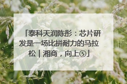 泰科天润陈彤：芯片研发是一场比拼耐力的马拉松｜湘商，向上⑤