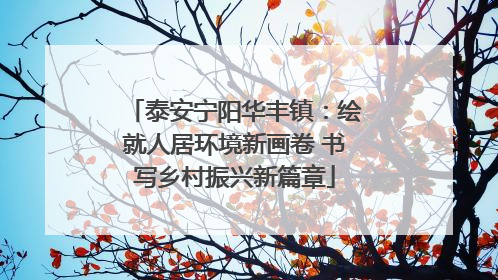 泰安宁阳华丰镇：绘就人居环境新画卷 书写乡村振兴新篇章