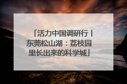 活力中国调研行丨东莞松山湖：荔枝园里长出来的科学城