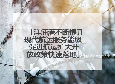 洋浦港不断提升现代航运服务能级 促进航运扩大开放政策快速落地