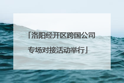 洛阳经开区跨国公司专场对接活动举行