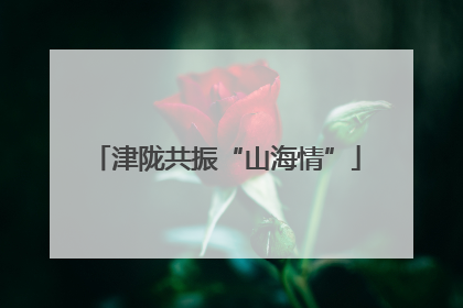 津陇共振“山海情”