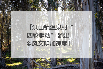 洪山镇温泉村“四轮驱动” 跑出乡风文明加速度