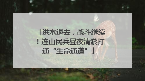 洪水退去，战斗继续！连山民兵昼夜清淤打通“生命通道”