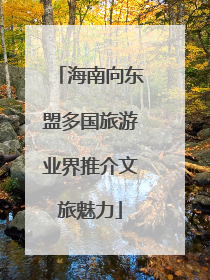 海南向东盟多国旅游业界推介文旅魅力