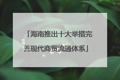 海南推出十大举措完善现代商贸流通体系