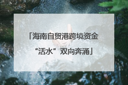 海南自贸港跨境资金“活水”双向奔涌