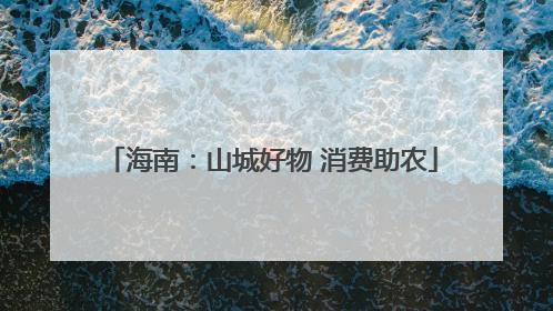 海南：山城好物 消费助农