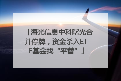 海光信息中科曙光合并停牌，资金杀入ETF基金找“平替”