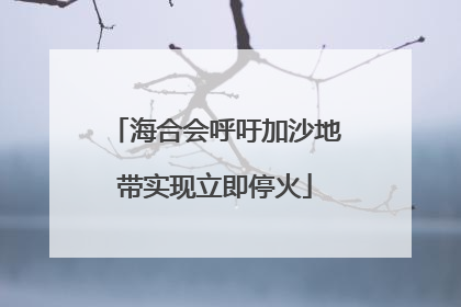 海合会呼吁加沙地带实现立即停火