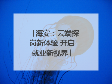 海安：云端探岗新体验 开启就业新视界