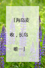 海岛麦收，长岛唯一