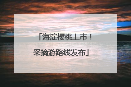 海淀樱桃上市！采摘游路线发布
