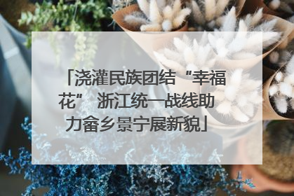 浇灌民族团结“幸福花” 浙江统一战线助力畲乡景宁展新貌