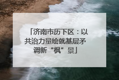 济南市历下区：以共治力量绘就基层矛调新“枫”景