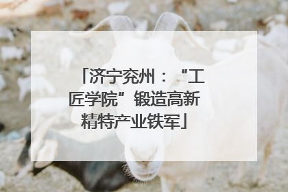 济宁兖州：“工匠学院”锻造高新精特产业铁军
