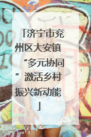 济宁市兖州区大安镇“多元协同”激活乡村振兴新动能
