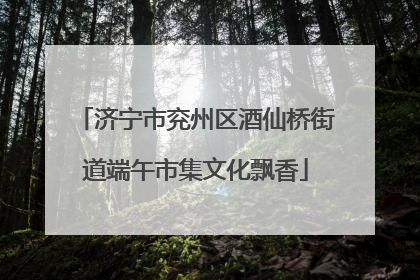 济宁市兖州区酒仙桥街道端午市集文化飘香