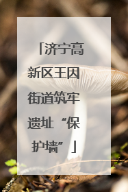济宁高新区王因街道筑牢遗址“保护墙”