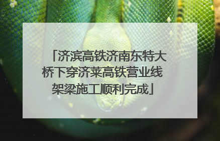 济滨高铁济南东特大桥下穿济莱高铁营业线架梁施工顺利完成