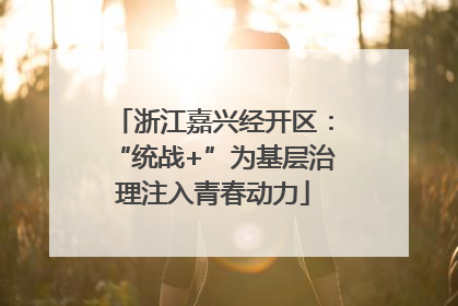 浙江嘉兴经开区：“统战+”为基层治理注入青春动力