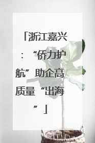 浙江嘉兴：“侨力护航”助企高质量“出海”