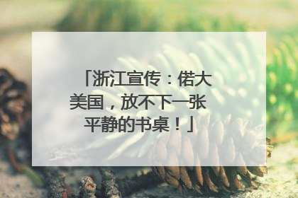 浙江宣传：偌大美国，放不下一张平静的书桌！