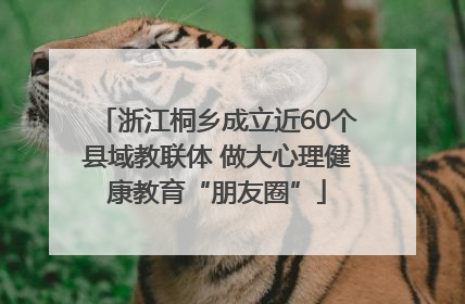 浙江桐乡成立近60个县域教联体 做大心理健康教育“朋友圈”