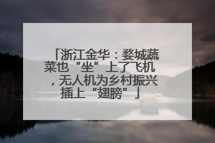 浙江金华：婺城蔬菜也“坐”上了飞机，无人机为乡村振兴插上“翅膀”